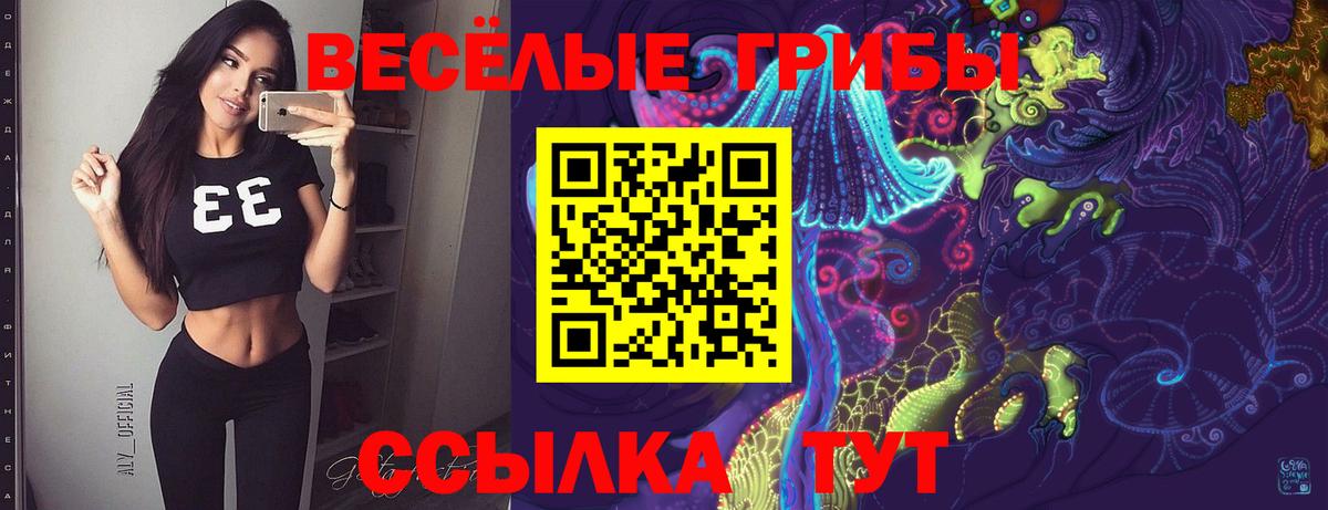 Белово  Псилоцибиновые грибы мухоморы  купить наркоту  Псилоцибиновые грибы мицелий  Вход с VPN 